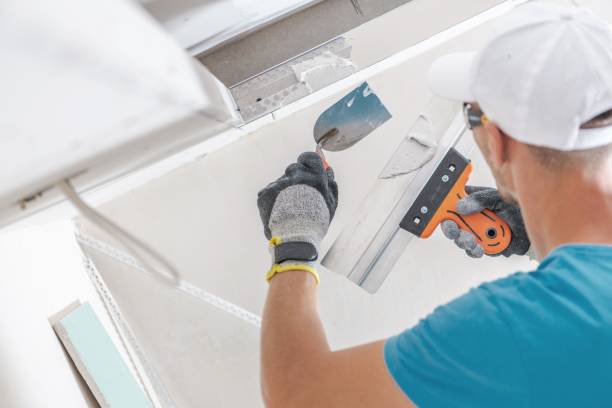 Reliable Celina, OH Mold Removal Solutions